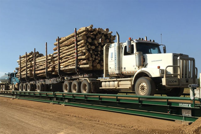 Log Truck Scale