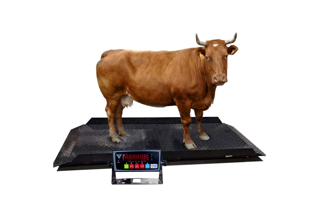 Floor Scales for Livestock Weight Monitoring