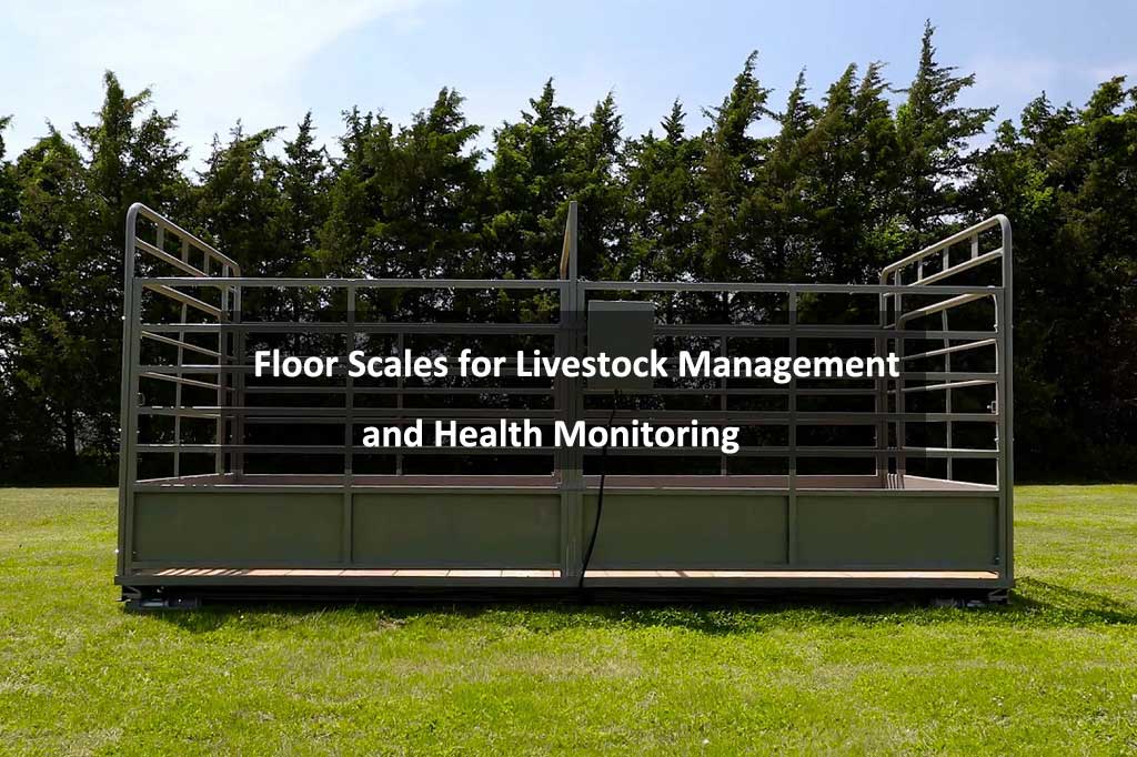 Floor Scales for Livestock