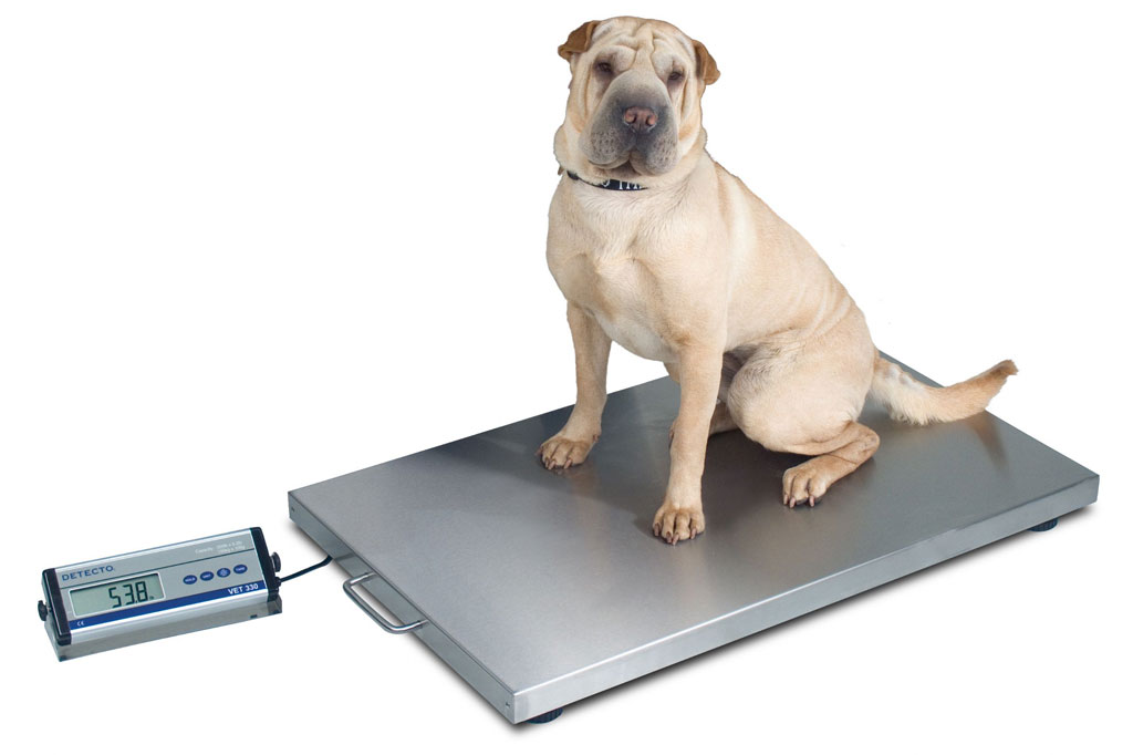 Pet Weight Monitoring